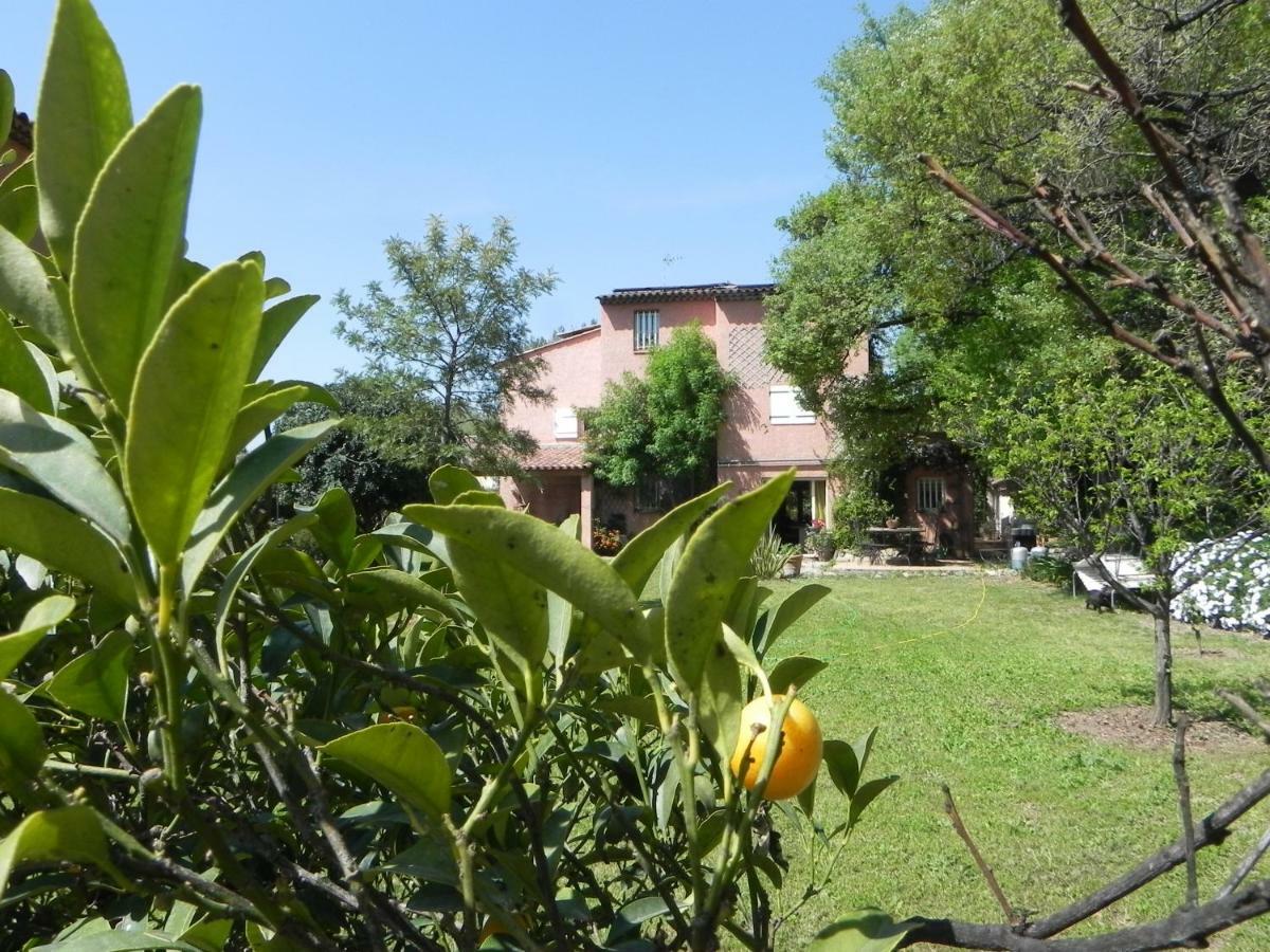 B&B Le Clos Des Vignes Saint Raphael Kültér fotó